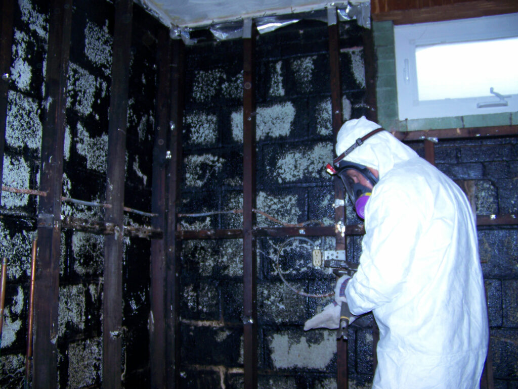 mold remediation charles county