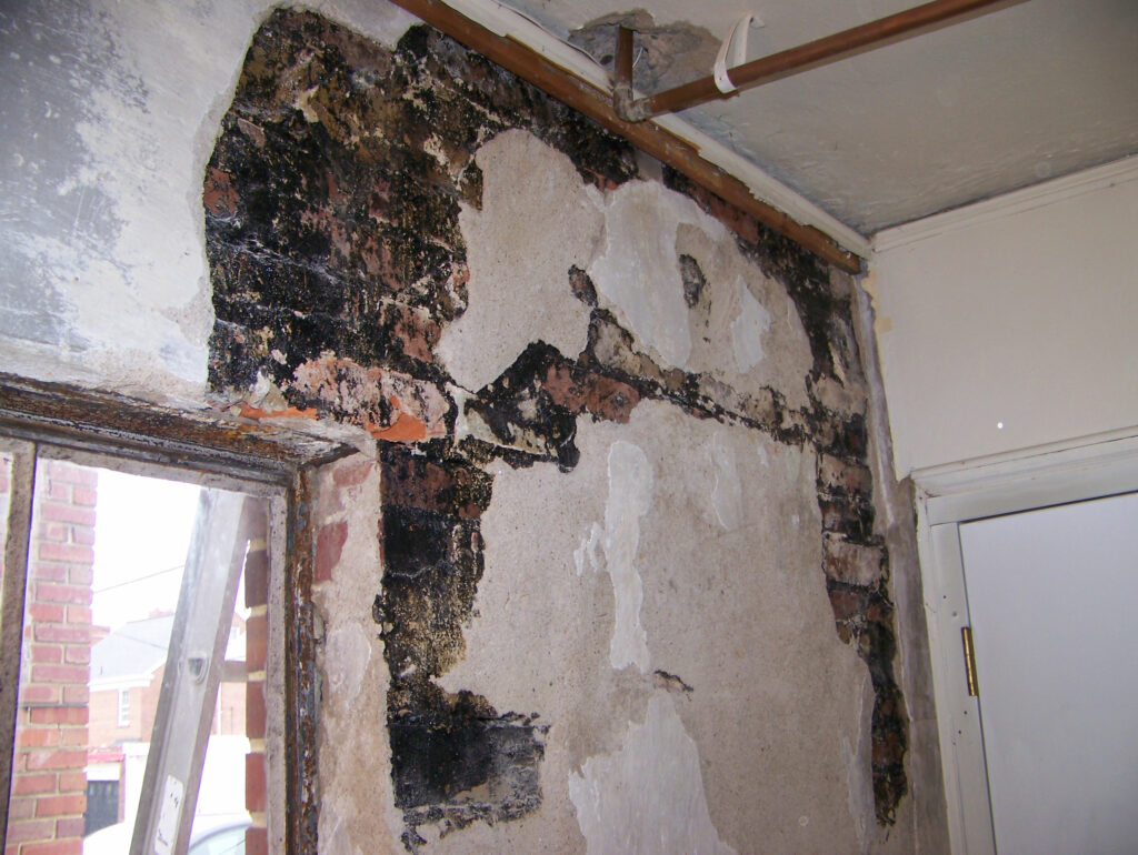 mold remediation charles county